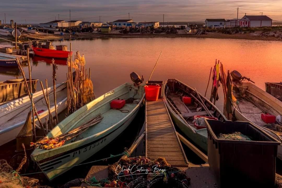 Zen Daire Gruissan Dış mekan fotoğraf