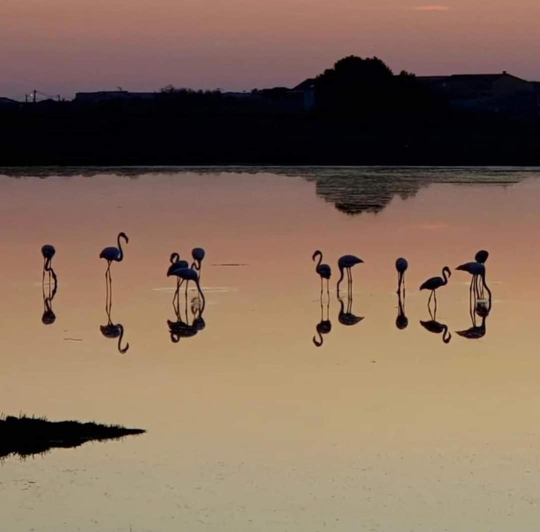 Zen Daire Gruissan Dış mekan fotoğraf