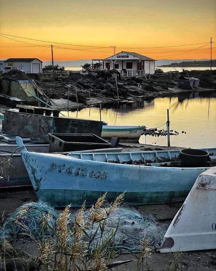 Zen Daire Gruissan Dış mekan fotoğraf