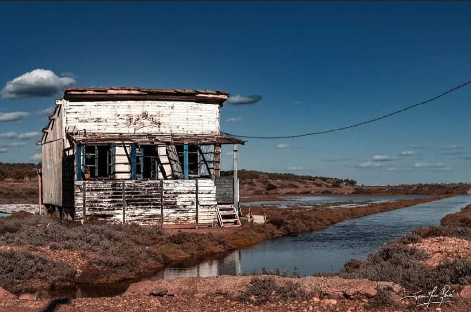 Zen Daire Gruissan Dış mekan fotoğraf