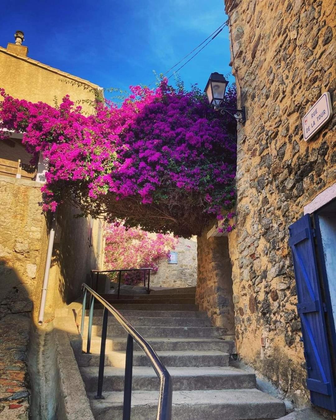 Zen Daire Gruissan Dış mekan fotoğraf